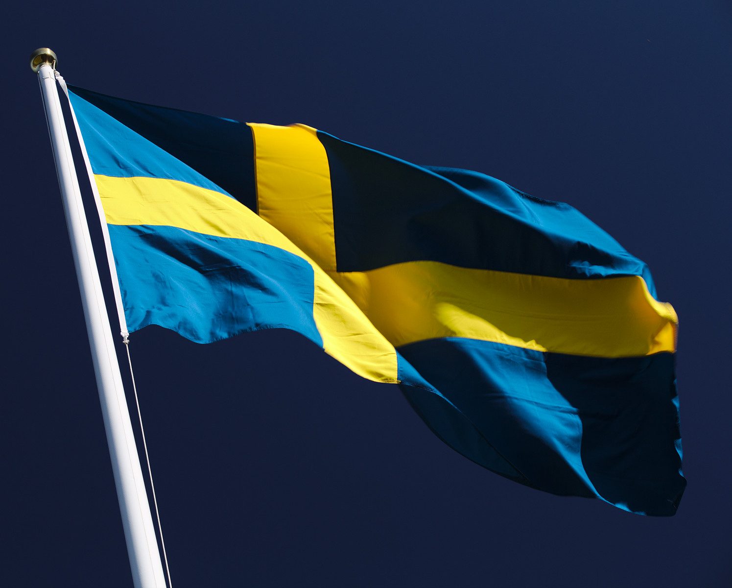 Svenska flaggan under nationaldagen