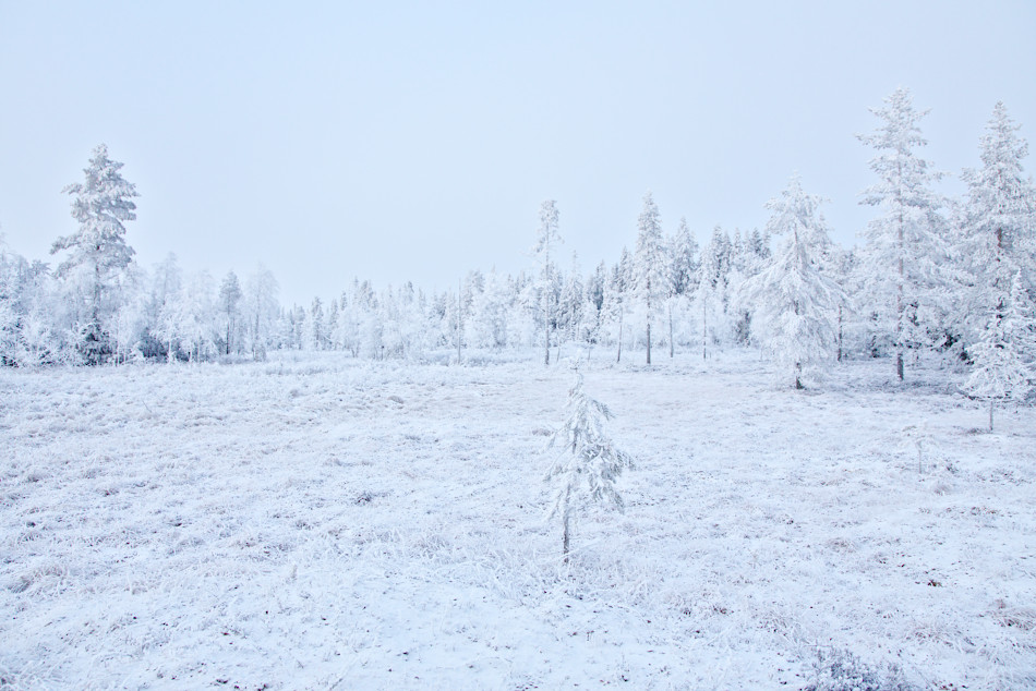 Vinterbild från Orsa Finnmark
